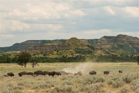 National Parks Badlands Wind Cave And Theodore Roosevelt