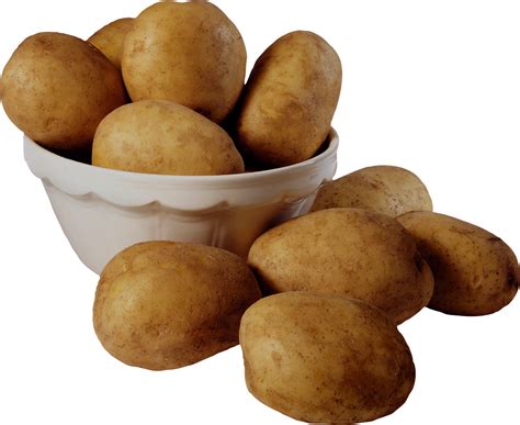 Potato Png Images Transparent Image Download Size 1343x1099px