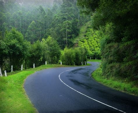 Kerala Country Roads Road Lakshadweep