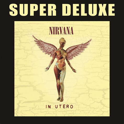 Release In Utero Super Deluxe By Nirvana Cover Art