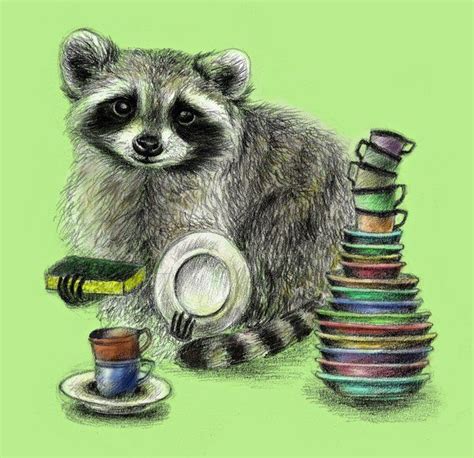 Master Of Dishes Raccoon Art Art Prints Art