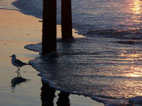 Ocean Isle Beach Sunrise. 2008. | Sunrise beach, Ocean isle beach
