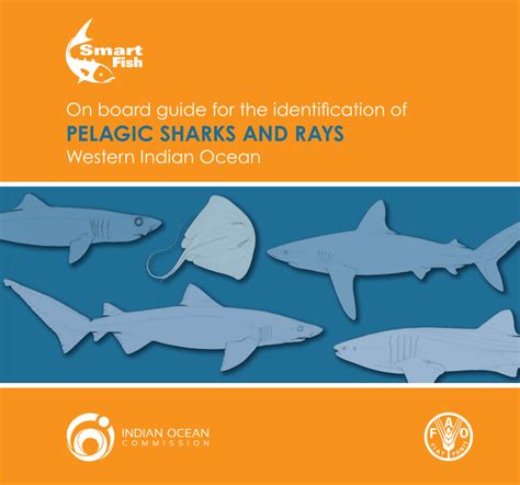 Pdf On Board Guide For The Identification Of Pelagic Sharks And Rays