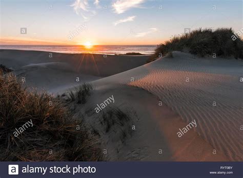 Sunset Sandy Beach With Sand Dunes At The Coast Alder Dune Baker