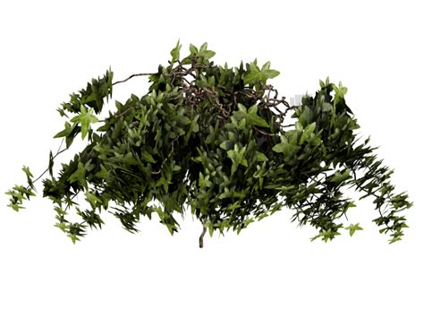 Transparent Greenery Png Transparent Background Bushes Png Png