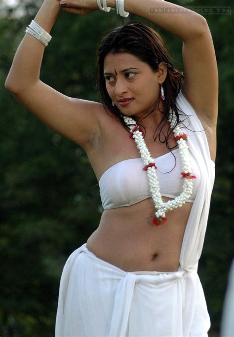 Farah Khan Telugu Actress 13 Hot Navel Armpit Hd Movie Stills