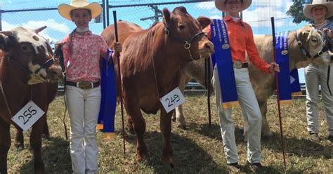 Camden Haven High Success At Wingham Show Port Macquarie News Port Macquarie Nsw