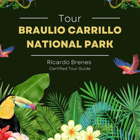 Braulio Carrillo National Park Tour Guapiles 2022 Alles Wat U Moet