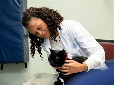 Specialty And Emergency Vet In Huntersville Huntersville Specialty Vet