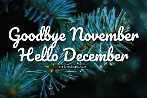 Pine Tree Goodbye November Hello December Quote Pictures Photos And