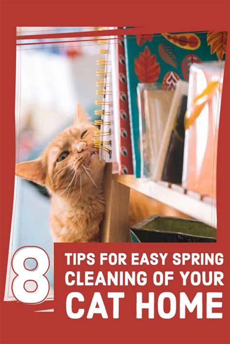 8 Tips For Easy Spring Cleaning Of Your Cat Home Cattipper Cat
