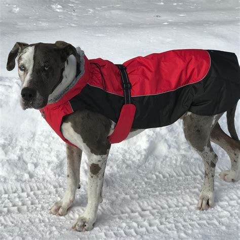 Alpine All Weather Waterproof Dog Coat Warm Fleece Lining