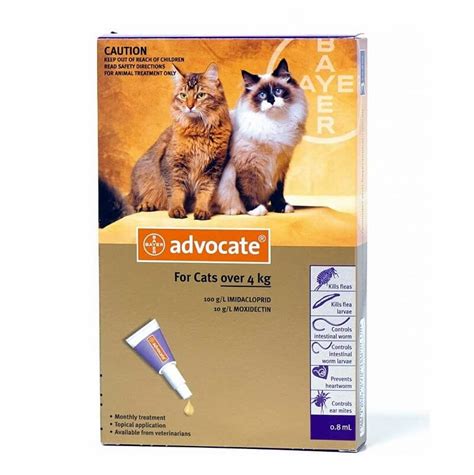 Is Advocate The Same For Dogs And Cats Cat Meme Stock Pictures And Photos