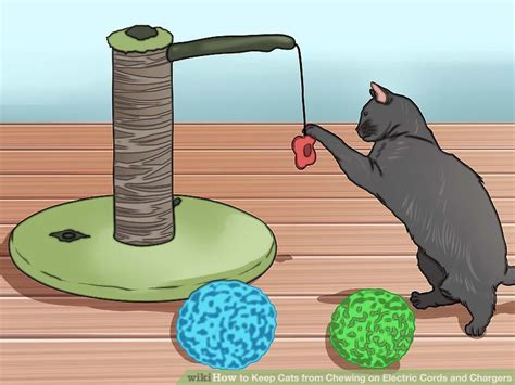For one, the chord has a close resemblance to the tail of another animal. 4 Ways to Keep Cats from Chewing on Electric Cords and ...
