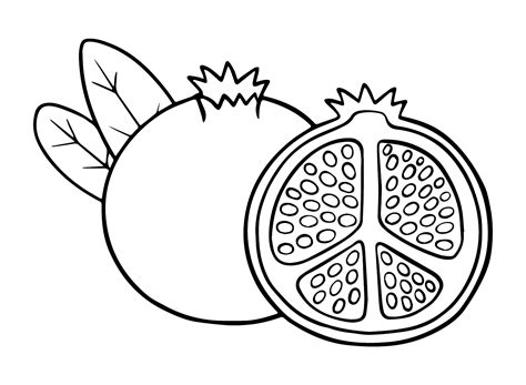 Free Pomegranate Coloring Page Free Printable Coloring Pages