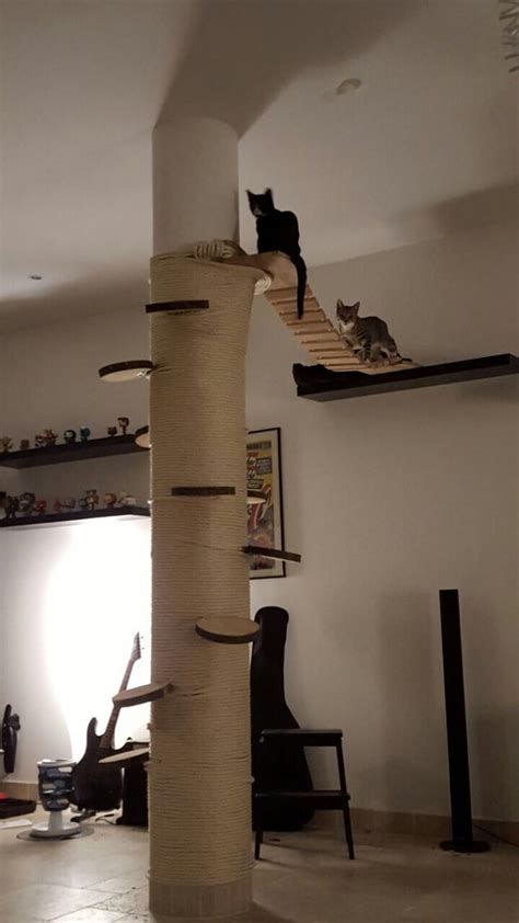 We Build A Cat Climbing Wall That Our House Cats Can Retreat When We