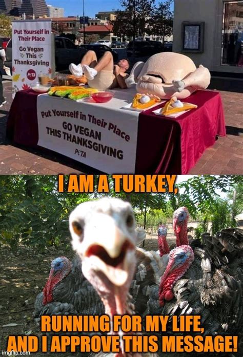 When People Get Dumber Than Turkeys Imgflip