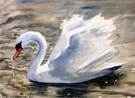 White Swan Watercolor Painting