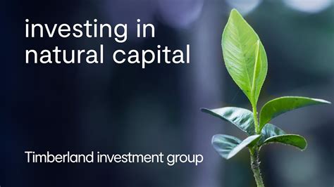 Investing In Natural Capital Integrating Climate Biodiversity And