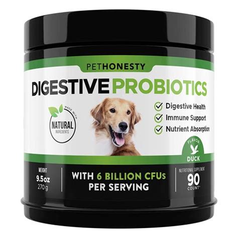 The Best Probiotics For Dogs With Diarrhea — Natural Treatment