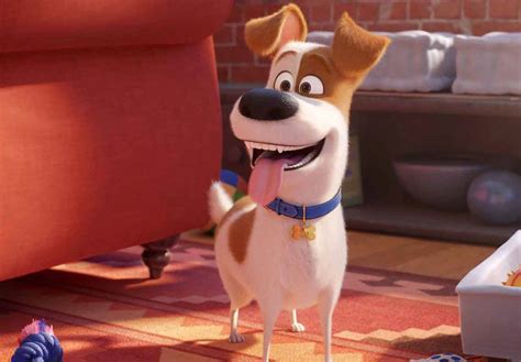 Max and his friends are back and howling for a whole new adventure! Patton Oswalt on The Secret Life of Pets 2 and Veronica ...