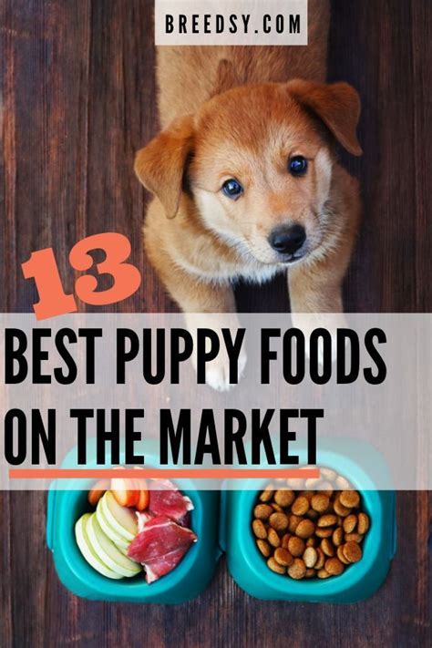 When searching for puppy food, the plethora of products available can be a bit overwhelming. 13 Best Puppy Foods: Our 2020 In-Depth Guide with Answers ...