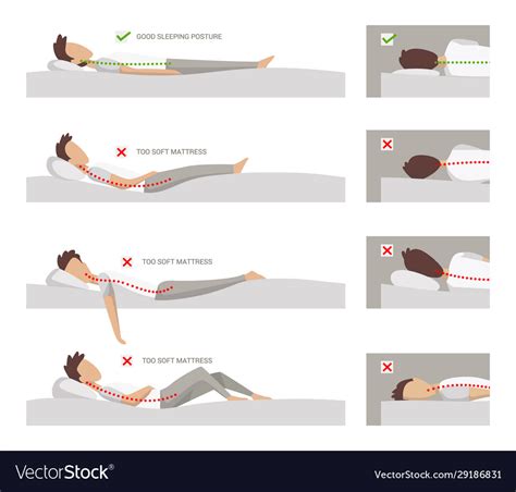 Correct And Incorrect Sleeping Position On Her Vector Image