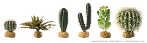 Exo Terra Desert Ground Plants