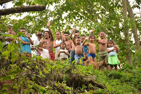 Securing And Enhancing Indigenous Land Tenure In Guyana Tenure Facility