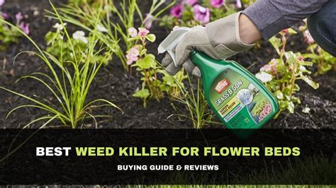 What Is A Good Homemade Weed Killer