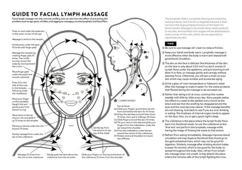 Facial Lymph Massage Direction Guide Poster Printable Etsy Gua Sha