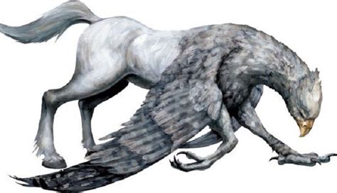 38 Best Hippogriff Images On Pinterest Mythical Creatures
