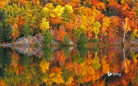Autumn At George Lake Ontario Canada Bing Wallpapers Sonu Rai