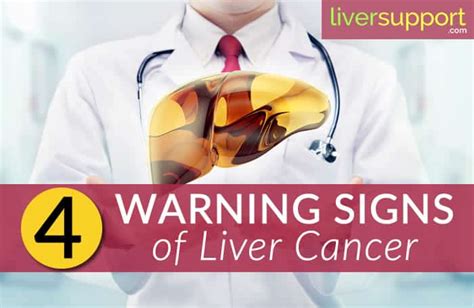 4 Liver Cancer Warning Signsyou Need To Watch Out For