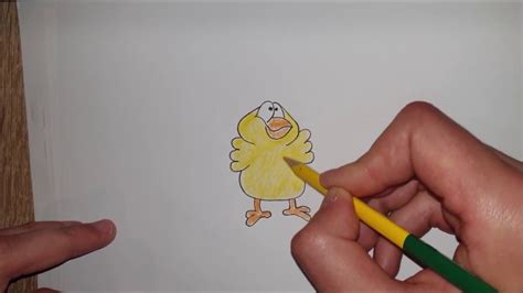 Kako Nacrtati I Obojiti Pile How To Draw And Color An Easy Cartoon