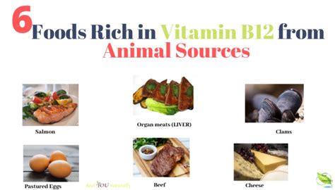 6 Foods Rich In Vitamin B12 From Animal Sources Healyounaturally