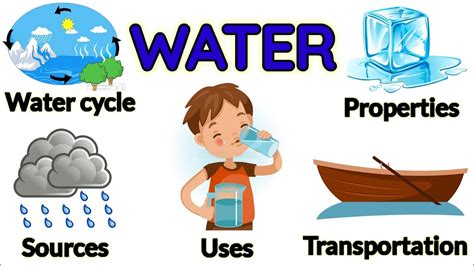 Water Cycle Importance Of Water Origin Of Water Uses Of Water