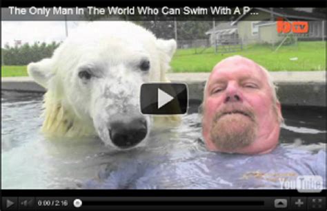 The Only Man In The World Who Can Swim With A Polar Bear Grizzly Man