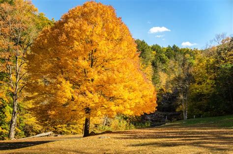 The Best Places To View Oklahoma Fall Foliage Tulsakids Magazine