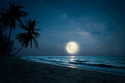 214500 Beach Night Stock Photos Pictures And Royalty Free Images Istock