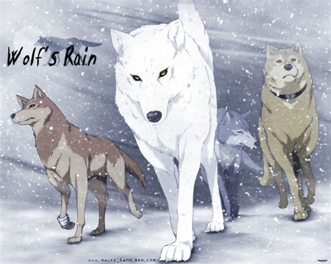 Wolfs Rain Wallpapers Wallpaper Cave Anime Wolf Wolfs Rain Anime