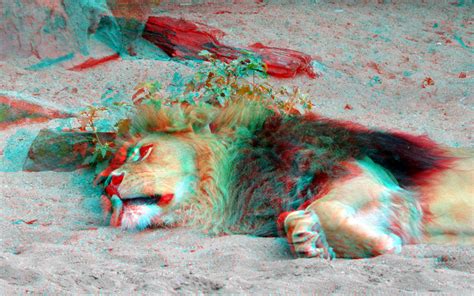 Artis Amsterdam 3d Anaglyph Stereo Redcyan Wim Hoppenbrouwers Flickr