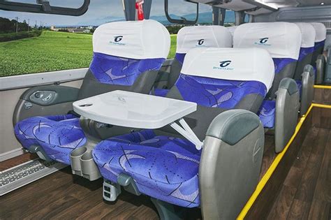 Luxury Dreamliner Greyhound Coaches South Africa