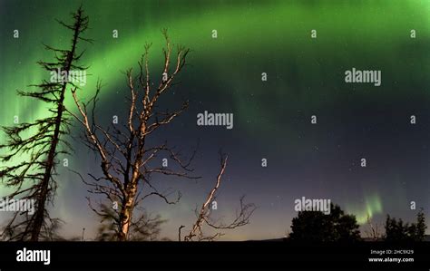 Magical View Of The Northern Lights Stock Photo Alamy