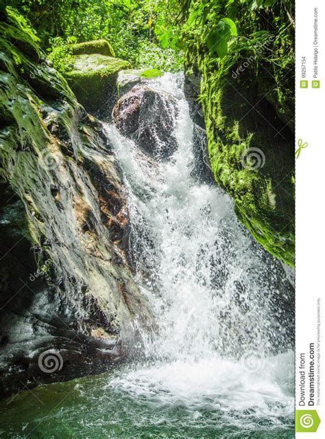 Beautiful Waterfall In Green Forest With Stones In River