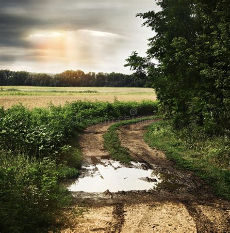 Wet Countryside Road With Dark Cloudy Sky Stock Image Image Of Light