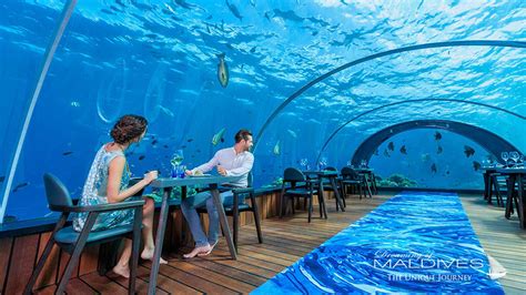 The Underwater Restaurant At Hurawalhi Maldives The 58