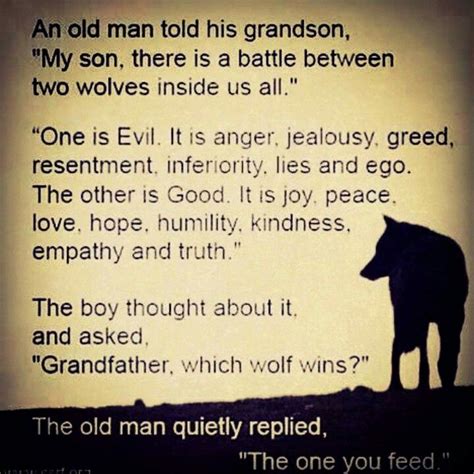 Feed The Right Wolf Two Wolves Wolf Quotes The One You Feed