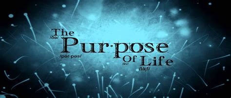 The Purpose Of Life Video The Choice