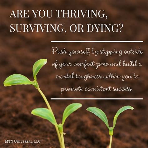 Are You Thriving Surviving Or Dying — Mtn Universal